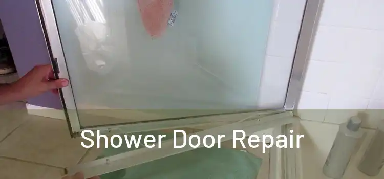  Shower Door Repair 